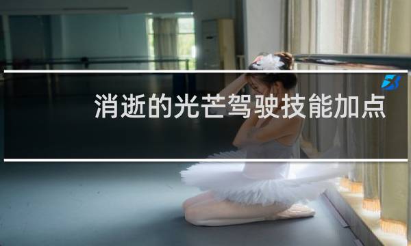 消逝的光芒驾驶技能加点