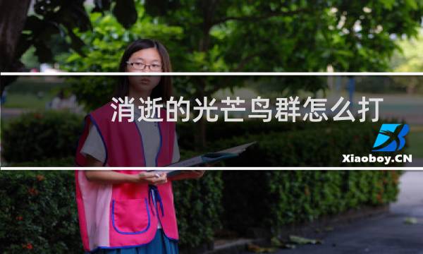 消逝的光芒鸟群怎么打