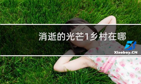 消逝的光芒1乡村在哪