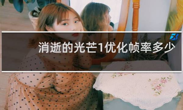 消逝的光芒1优化帧率多少