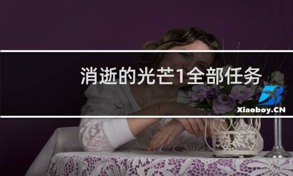 消逝的光芒1全部任务