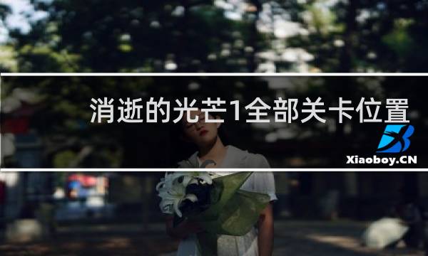 消逝的光芒1全部关卡位置