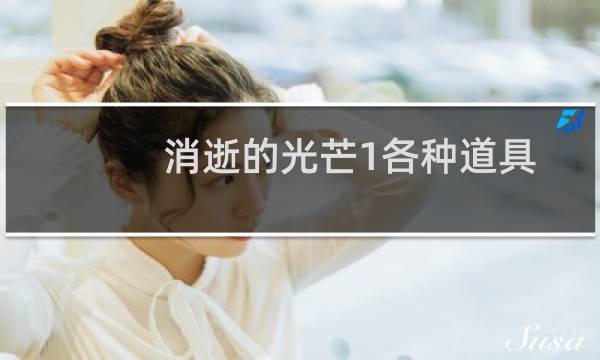 消逝的光芒1各种道具