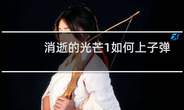 消逝的光芒1如何上子弹