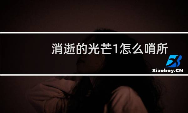 消逝的光芒1怎么哨所