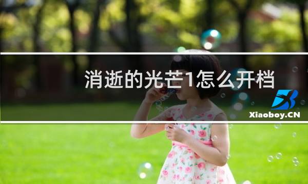 消逝的光芒1怎么开档