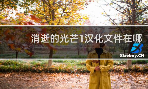 消逝的光芒1汉化文件在哪