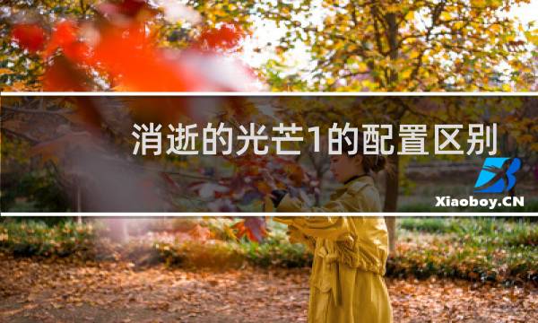 消逝的光芒1的配置区别