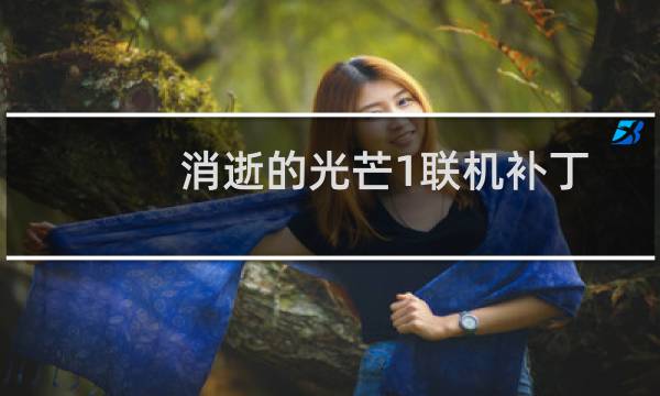 消逝的光芒1联机补丁