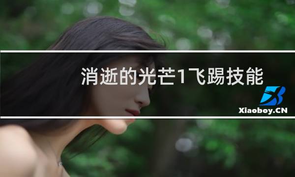 消逝的光芒1飞踢技能