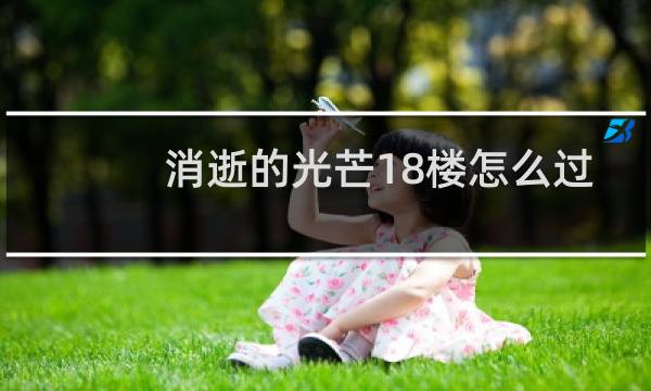 消逝的光芒18楼怎么过