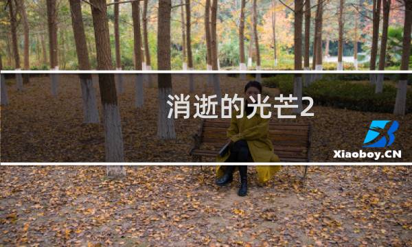 消逝的光芒2 装备耐久