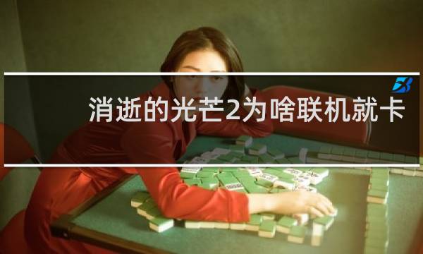 消逝的光芒2为啥联机就卡