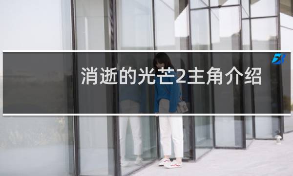 消逝的光芒2主角介绍