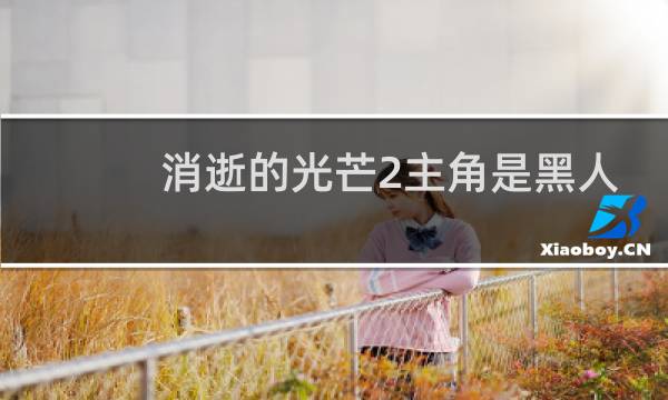 消逝的光芒2主角是黑人