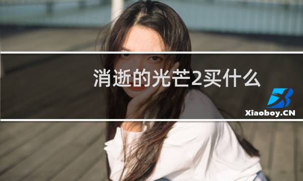 消逝的光芒2买什么
