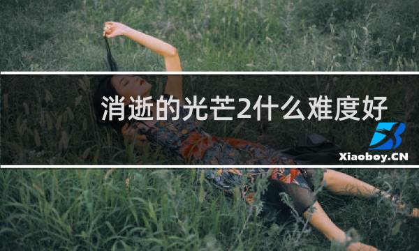 消逝的光芒2什么难度好