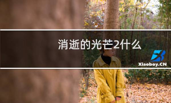 消逝的光芒2什么