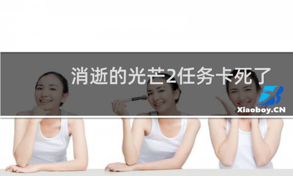 消逝的光芒2任务卡死了