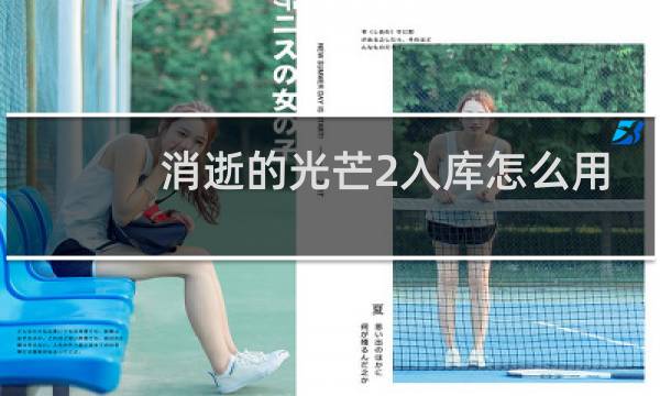 消逝的光芒2入库怎么用