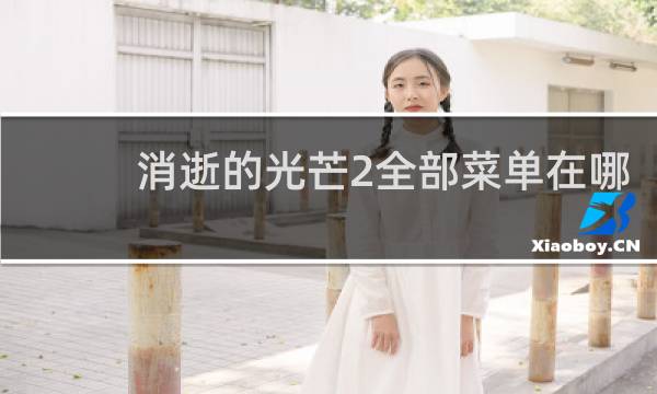 消逝的光芒2全部菜单在哪