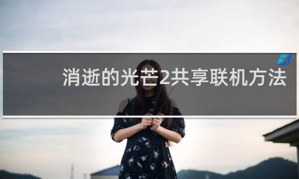 消逝的光芒2共享联机方法