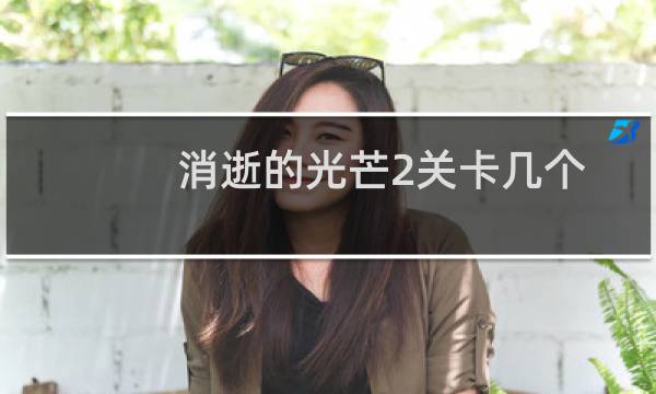 消逝的光芒2关卡几个