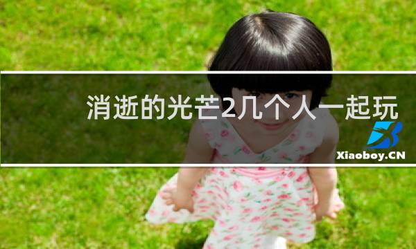 消逝的光芒2几个人一起玩