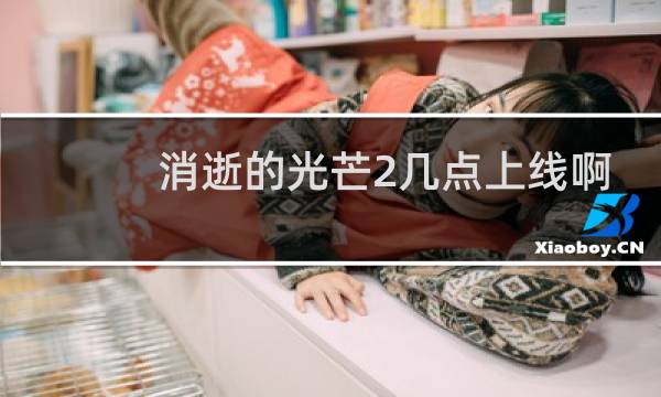 消逝的光芒2几点上线啊