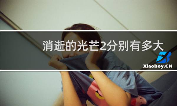 消逝的光芒2分别有多大