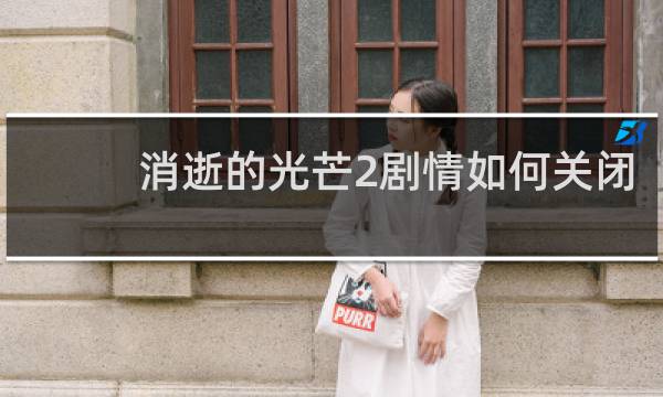 消逝的光芒2剧情如何关闭