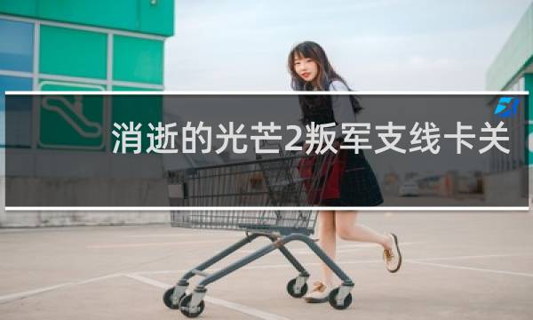 消逝的光芒2叛军支线卡关