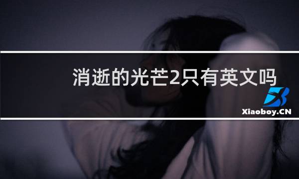 消逝的光芒2只有英文吗