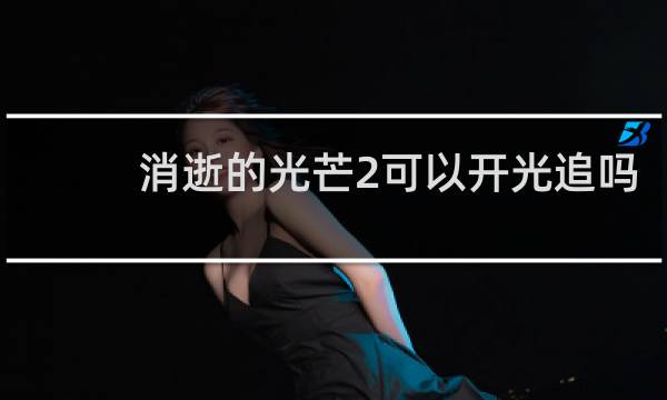 消逝的光芒2可以开光追吗