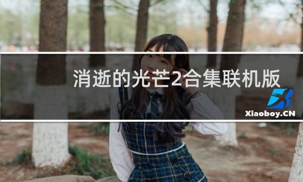 消逝的光芒2合集联机版