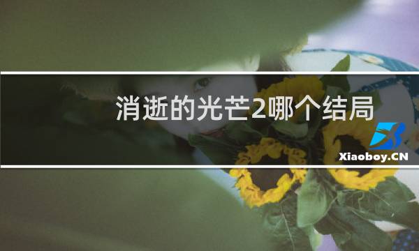 消逝的光芒2哪个结局