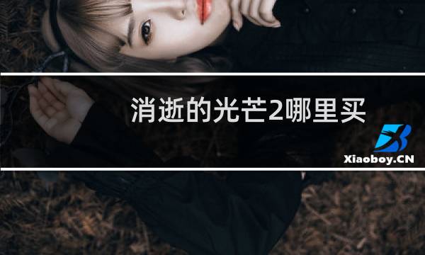 消逝的光芒2哪里买