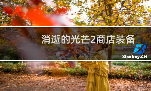 消逝的光芒2商店装备