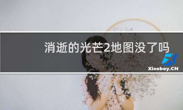 消逝的光芒2地图没了吗