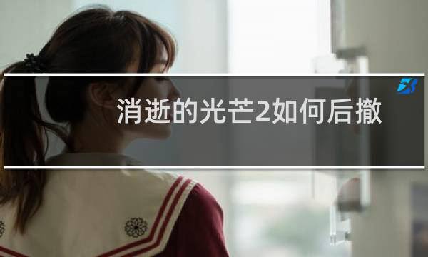 消逝的光芒2如何后撤