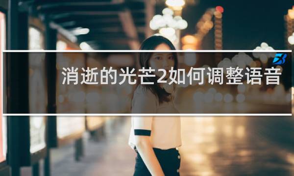 消逝的光芒2如何调整语音