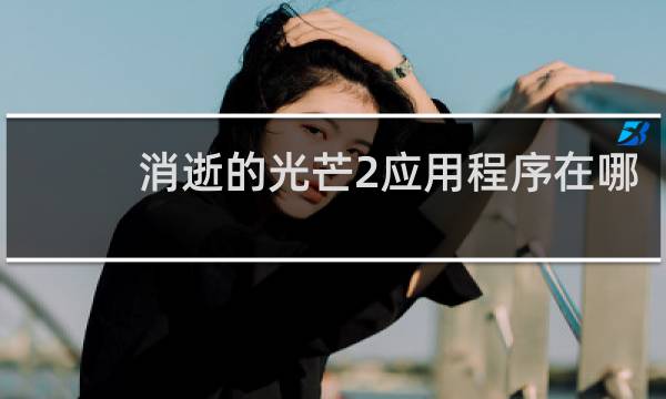 消逝的光芒2应用程序在哪