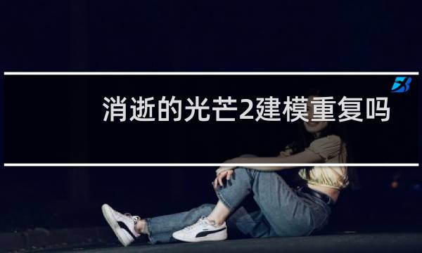 消逝的光芒2建模重复吗