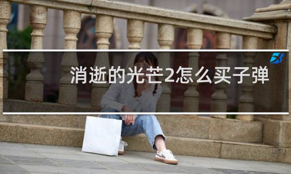 消逝的光芒2怎么买子弹