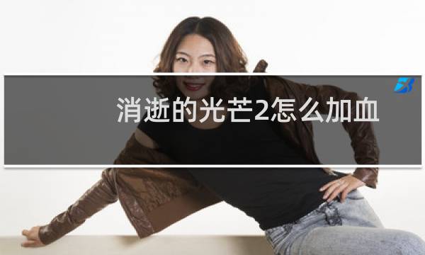 消逝的光芒2怎么加血