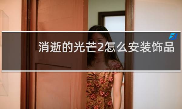 消逝的光芒2怎么安装饰品