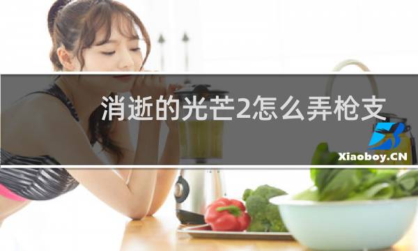 消逝的光芒2怎么弄枪支