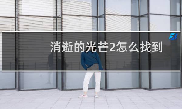 消逝的光芒2怎么找到