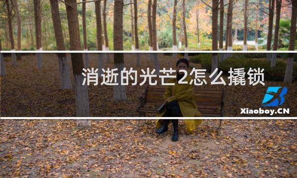 消逝的光芒2怎么撬锁