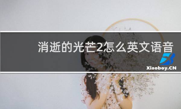 消逝的光芒2怎么英文语音